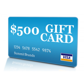 $500 Visa Gift Card